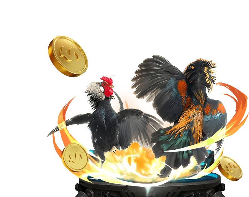 Nền tảng đá gà trực tuyến 18win 1